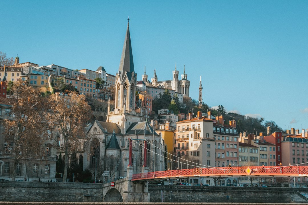 Vue de Lyon